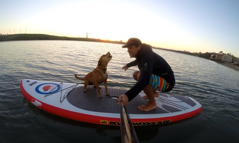 how to keep your dog safe when paddle boarding 3
