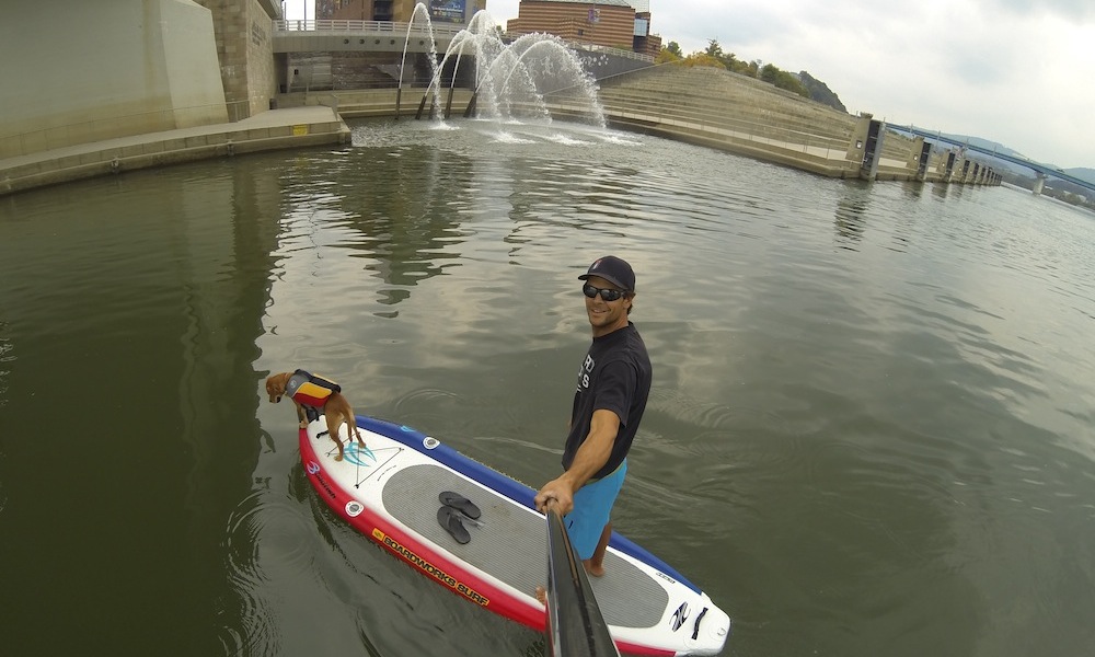 how to keep your dog safe when paddle boarding 4