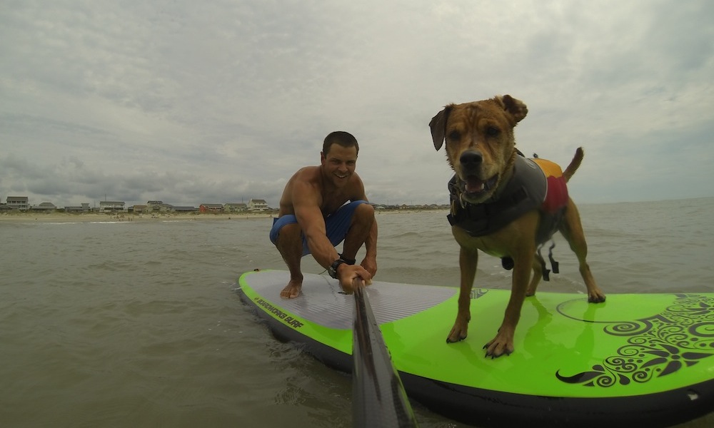 how to keep your dog safe when paddle boarding 5