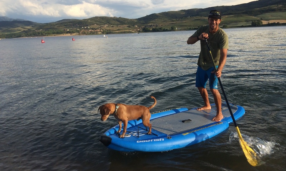 how to keep your dog safe when paddle boarding 9