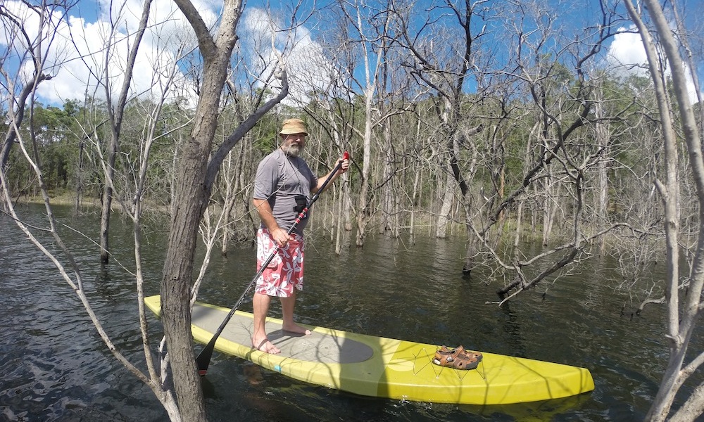 paddle boarding gold coast hinze dam drowned forest