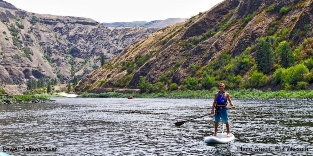 paddle boarding central idaho lower salmon river 2