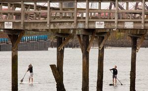 Stand_Up_Paddle_Puget_Sound_-_4