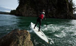 Stand_Up_Paddle_Puget_Sound_-_5