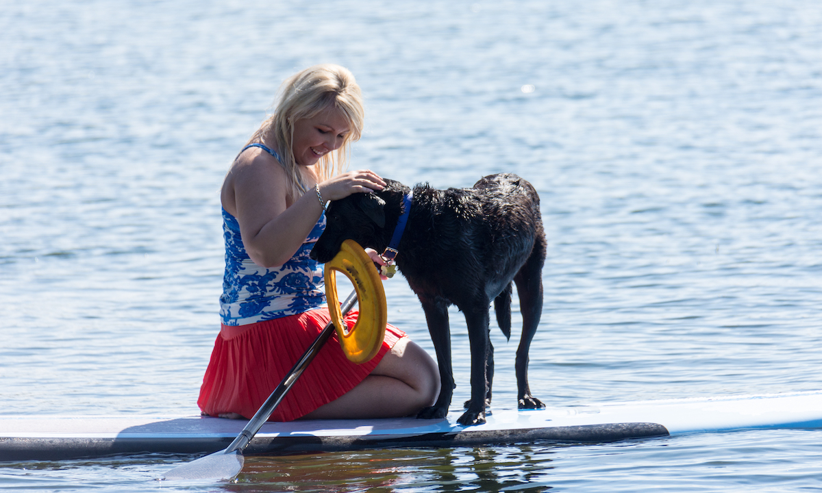 dog breeds for paddleboarding lab