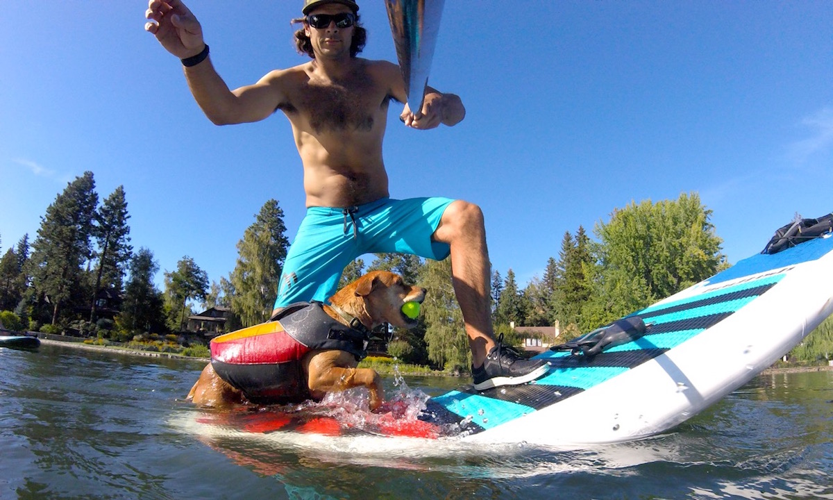 how to get dog comfortable on sup 4