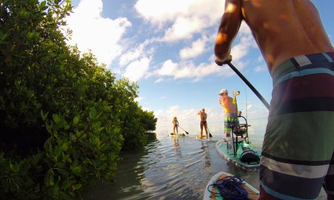 Paddle Boarding Stuart, Florida