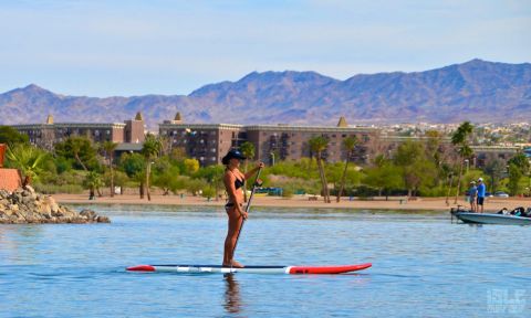 How many calories do you burn while paddleboarding? Find out below.