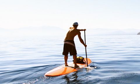 Lakeshore Paddleboard Co. SUP Boards