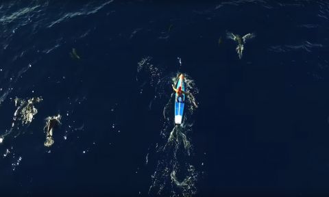 Zane Schweitzer, paddling with dolphins. | Video: Matty Schweitzer
