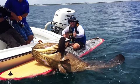 Capt. Ben Chancey is all smiles after reeling in a 400lb. grouper.