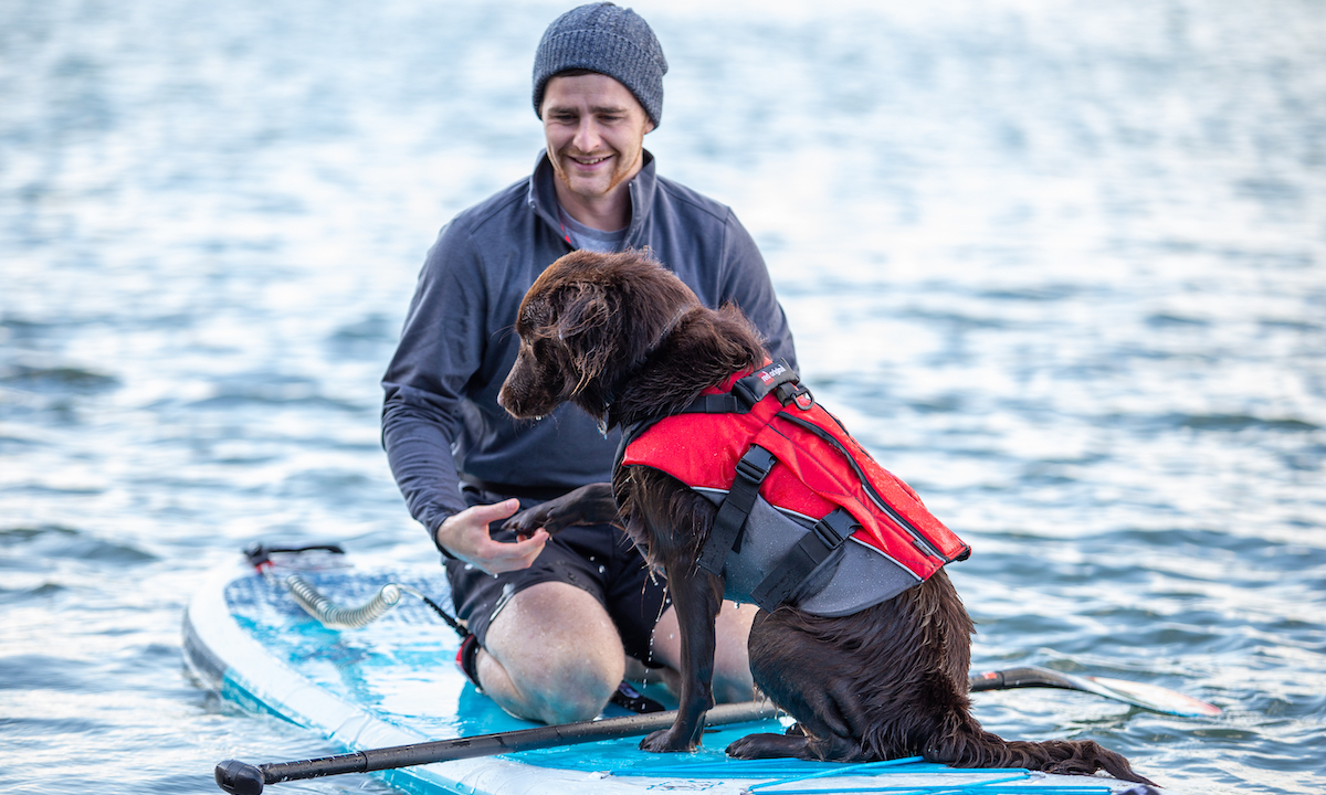 red paddle co dog pfd 1