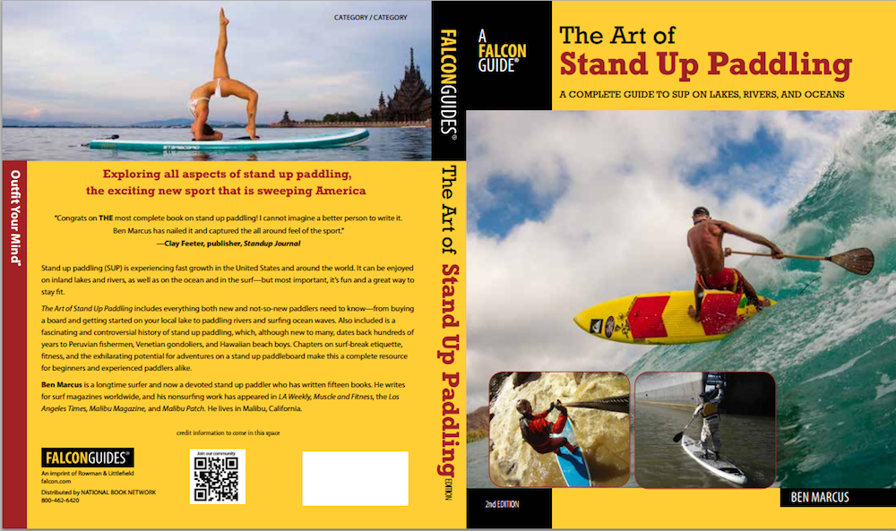 the art of sup revision cover