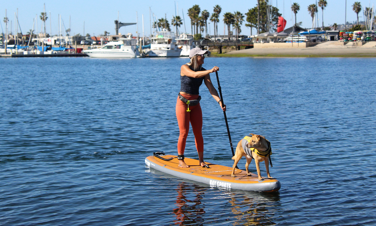 dog breeds for paddleboarding