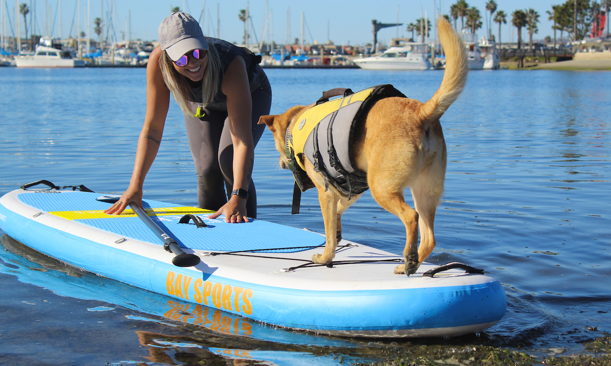 paddling high anxiety dogs tips