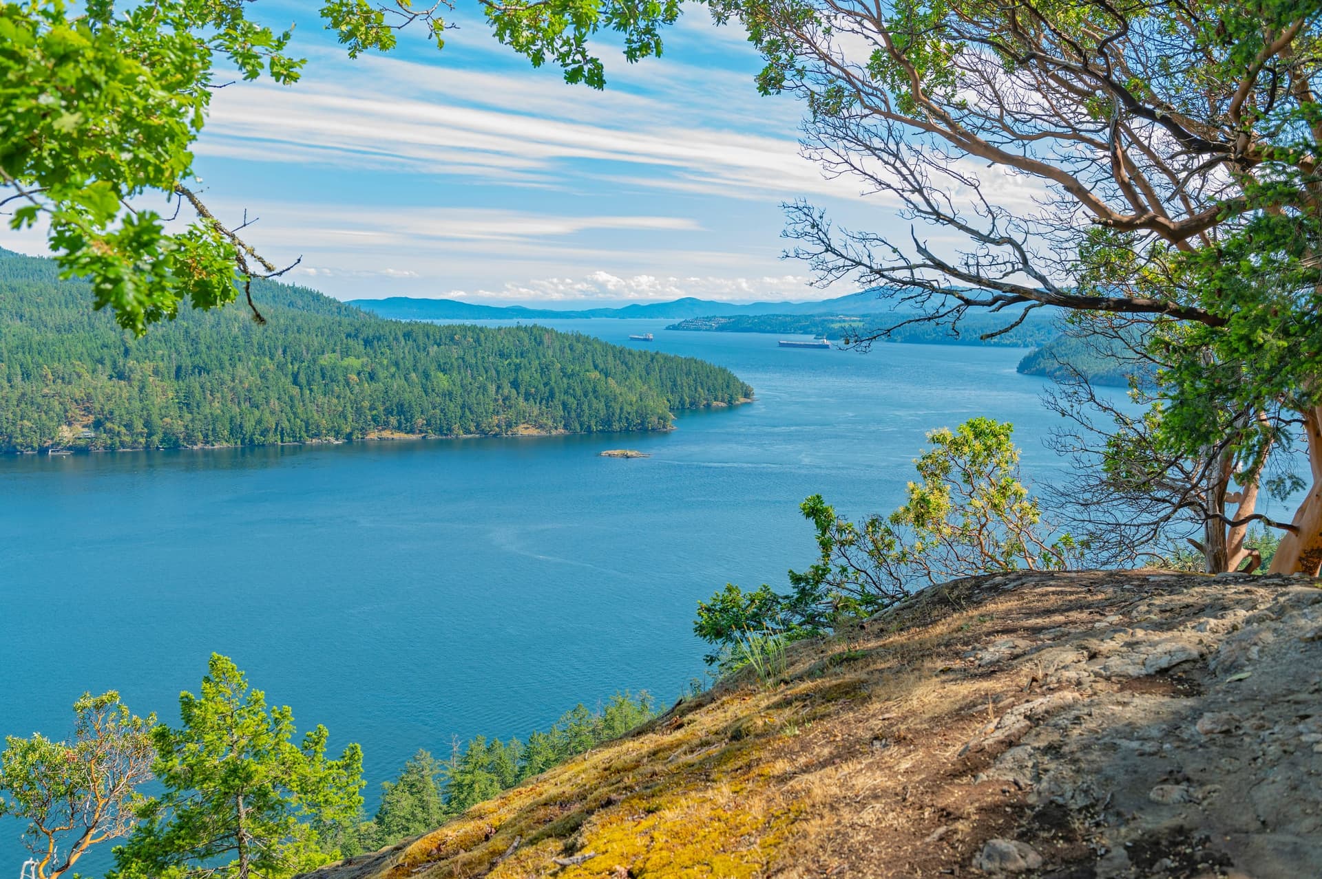 Trees, ocean and shoreline at Maple Bay in the Cowichan Valley