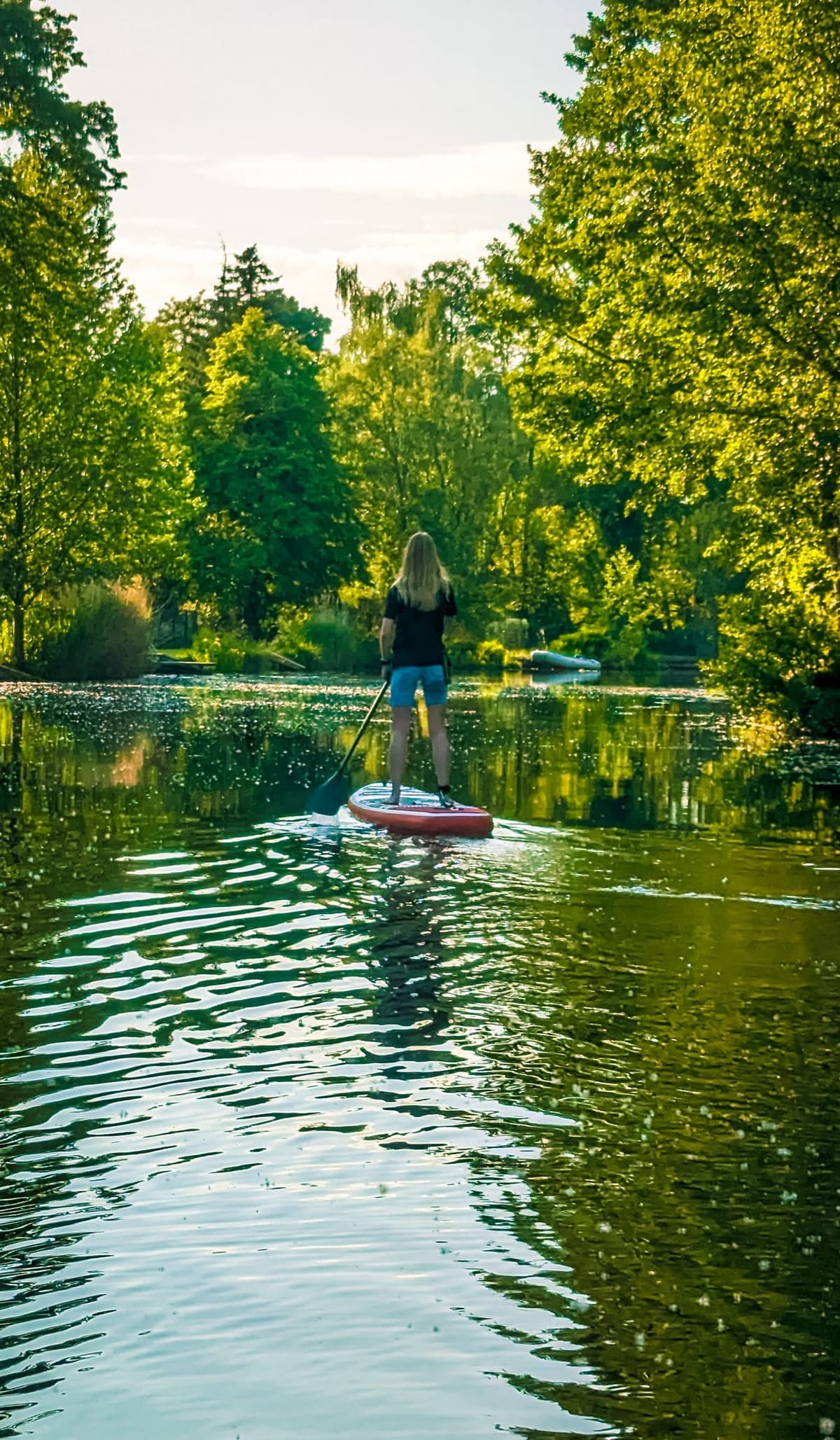 A paddler seen from behind glides along a narrow tree-lined river on a red board