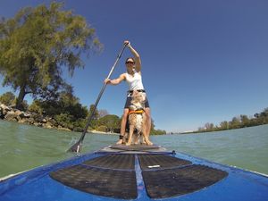 back-cover-how-to-sup-with-your-pup