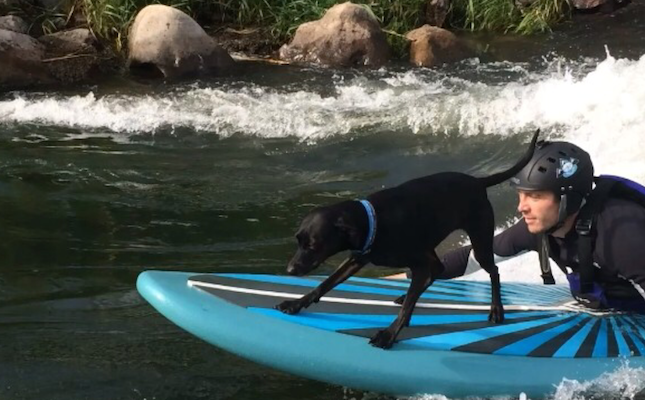 how-to-river-surf-with-your-best-friend-1