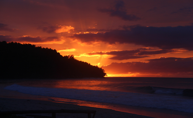 sunset-reader-photo