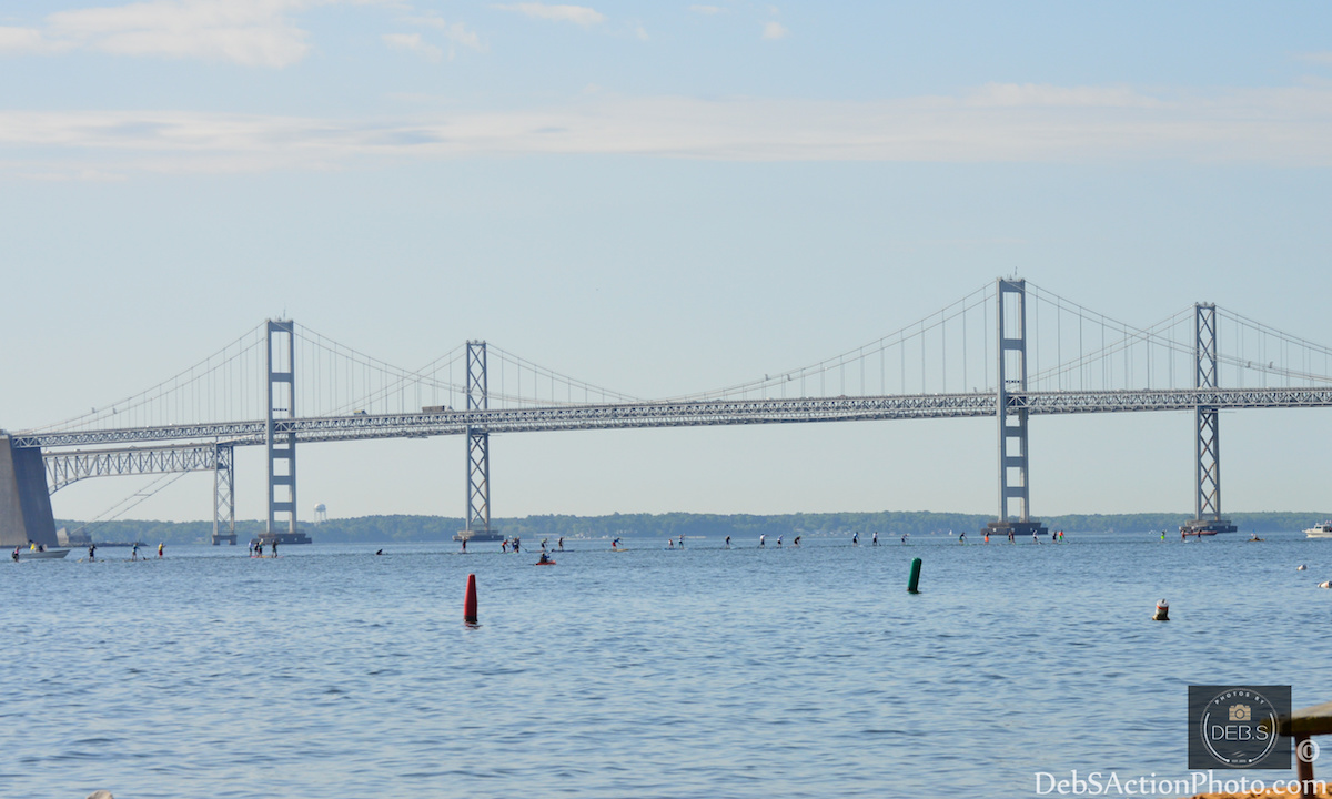 paddle boarding annapolis maryland 4