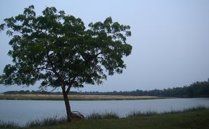 Stand_Up_Paddle_Board_the_Bay_of_Bengal_India_-_10