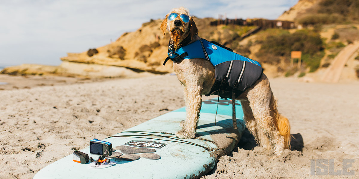 best paddle boarding southern california del mar