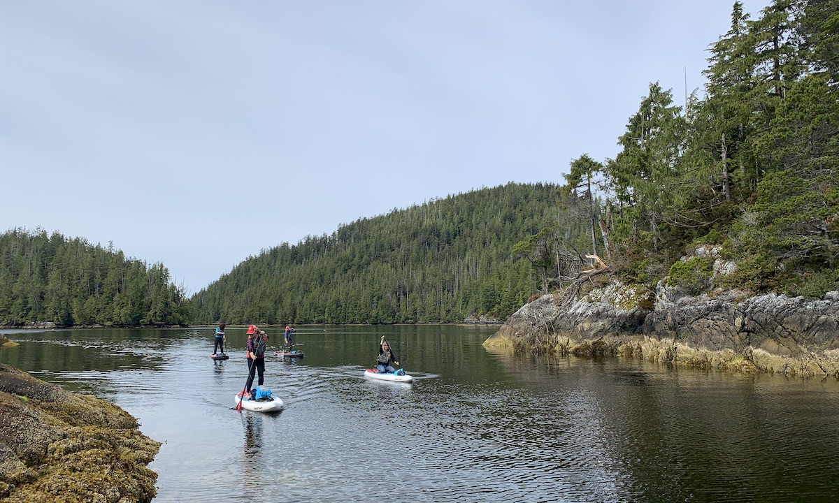 tofino womens retreat