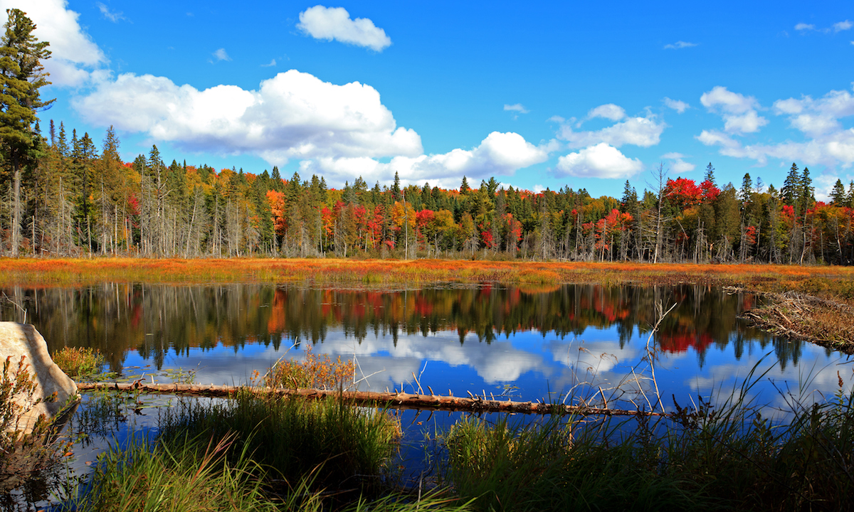 algonquin park sup destination autumn02