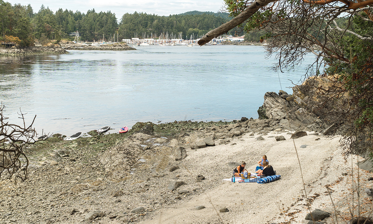 paddle boarding saanich peninsula canada brentwood bay