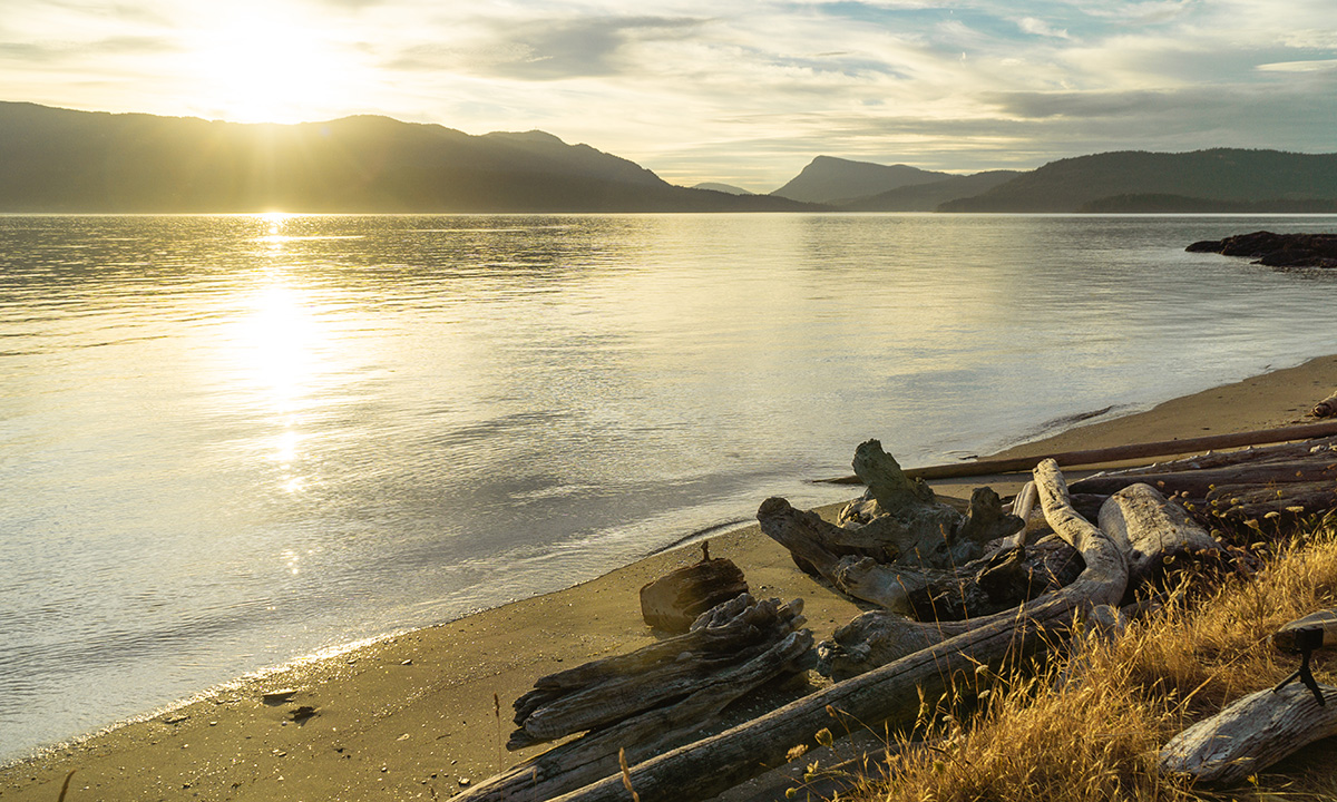 paddle boarding saanich peninsula canada hot spots