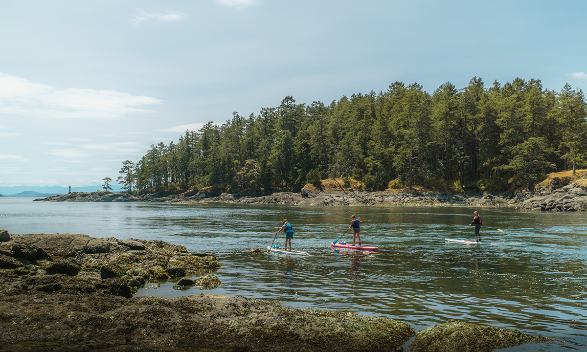 paddle boarding saanich peninsula canada