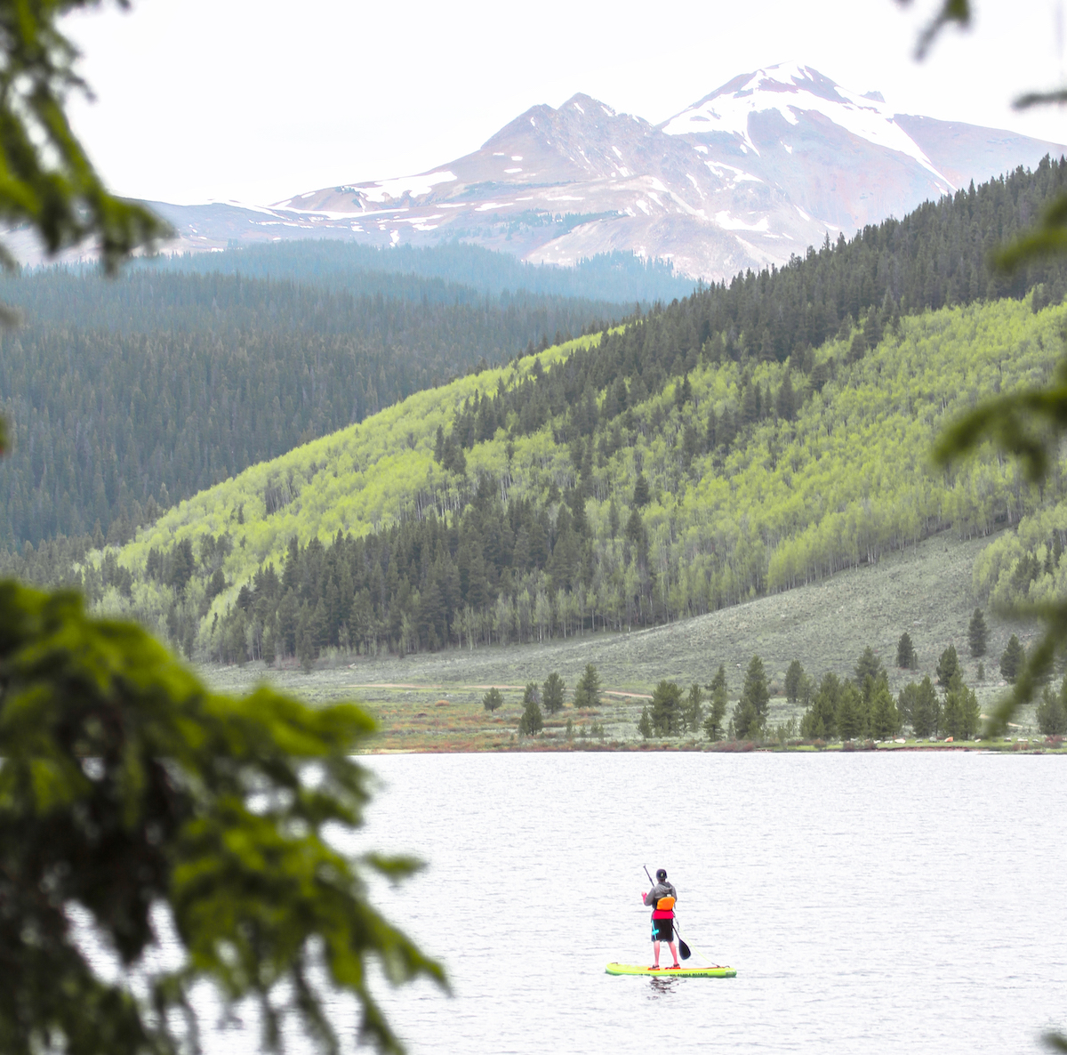 spring creek sup