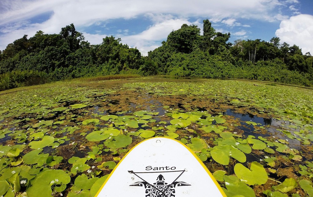 big bay wetlands espiritu santo vanuatu