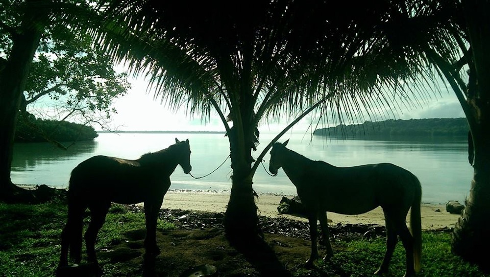 local transport espiritu santo vanuatu