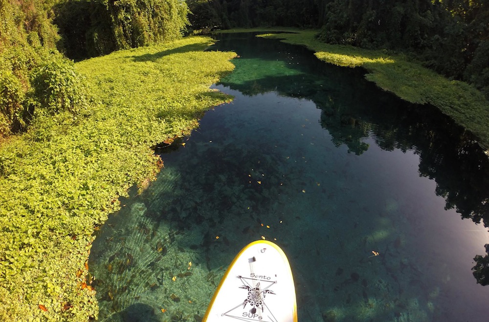 matevulu river in espiritu santo vanuatu