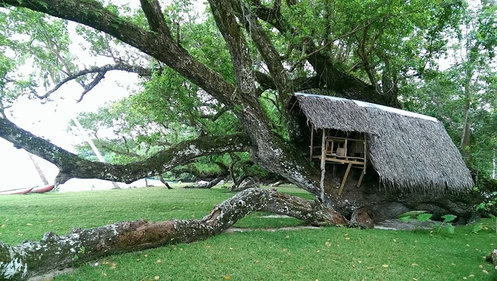 treehouse accommodation port olry espiritu santo vanuatu