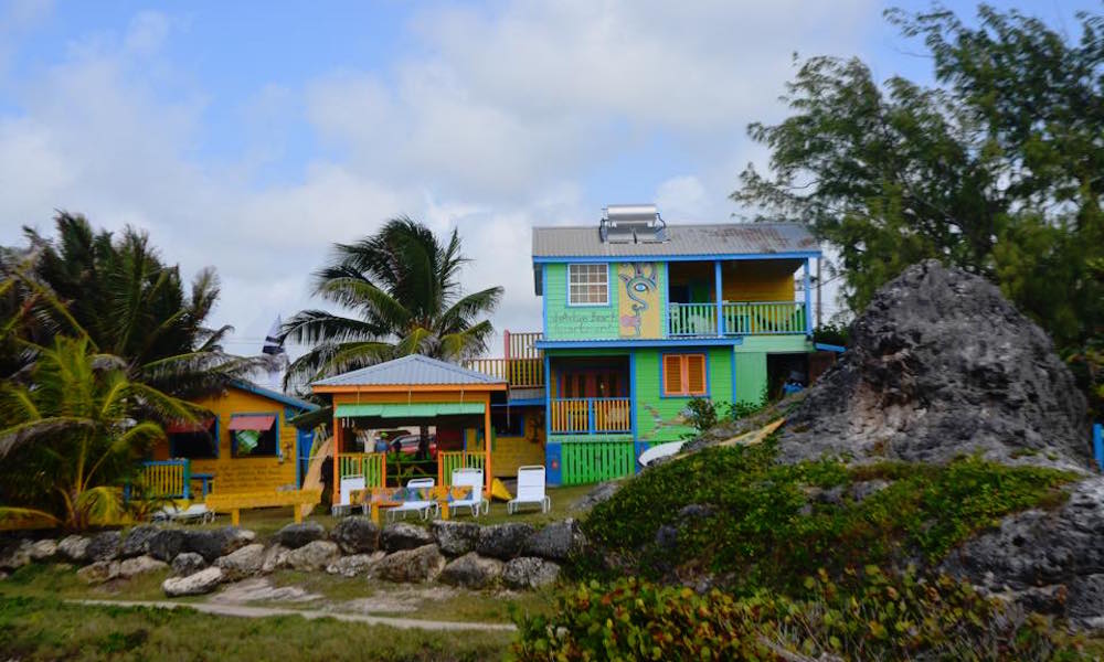 fiona wylde barbados