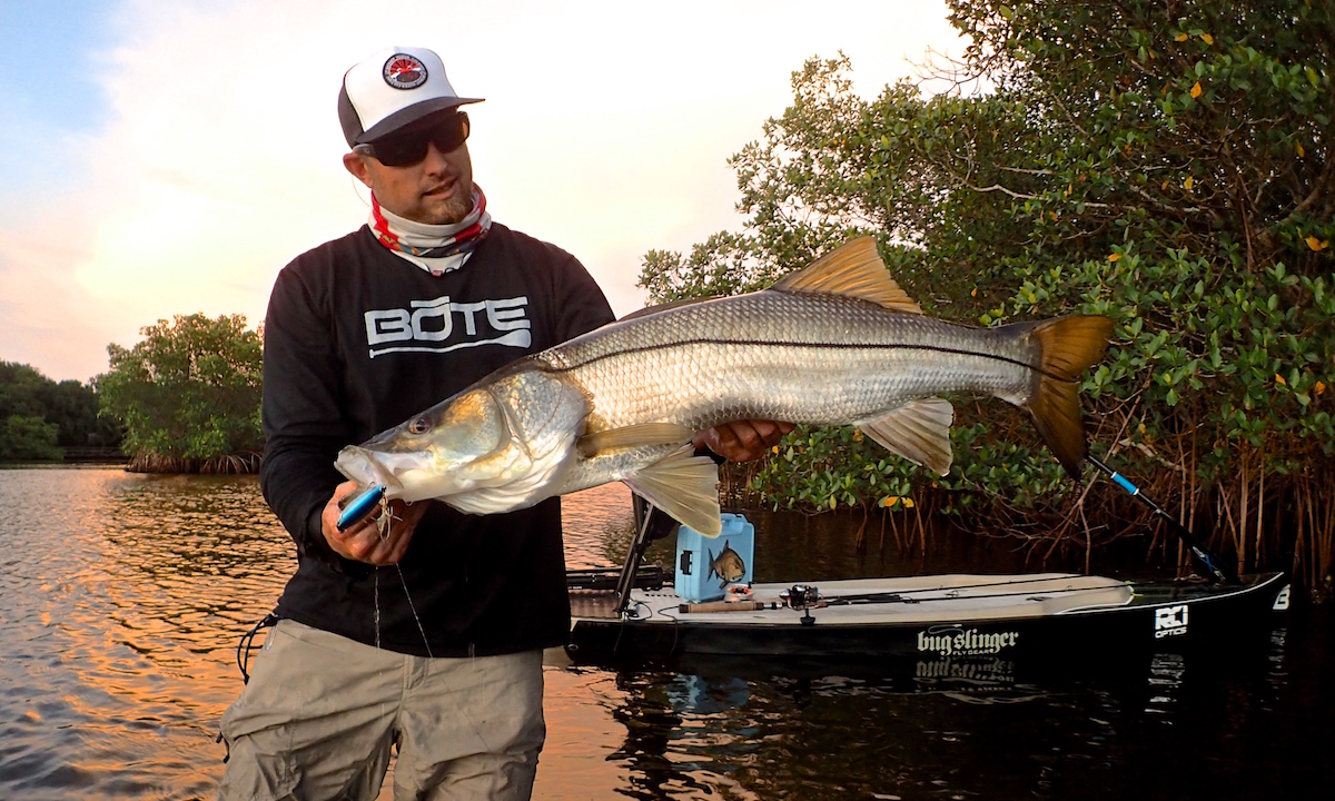 best sup fishing destinations florida tampa bay cockroach snook