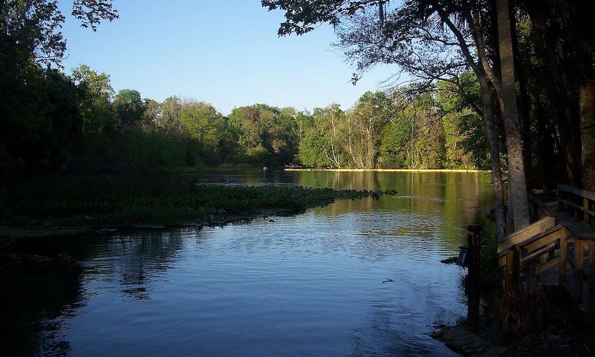 best sup fishing destinations florida weikwa