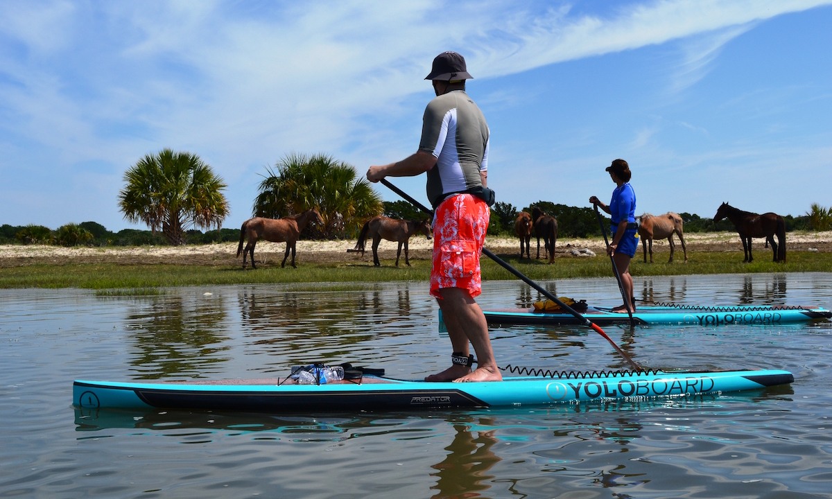 amelia island cumberland horse drive by