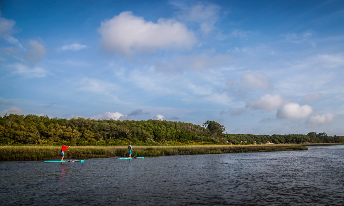 amelia island simpson landscape