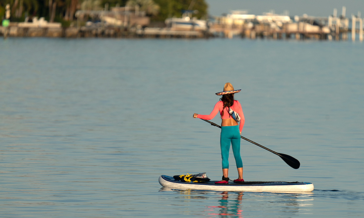 paddle boarding tampa bay florida