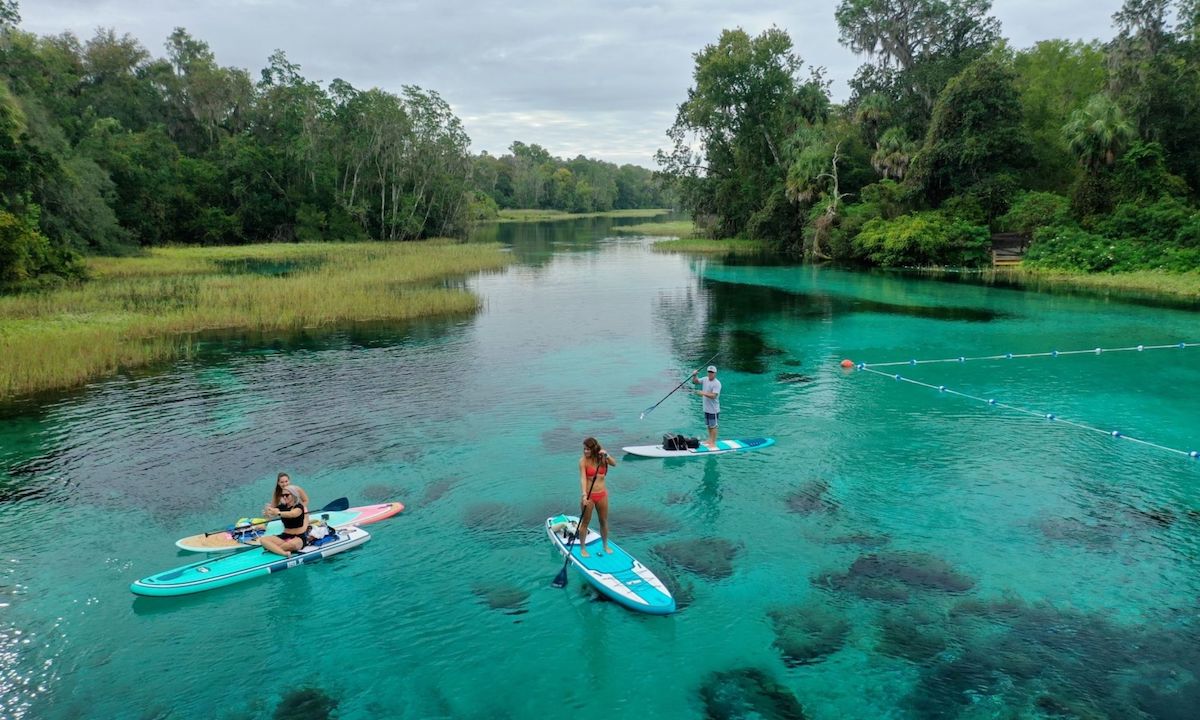 paddle boarding tampa florida rainbow river