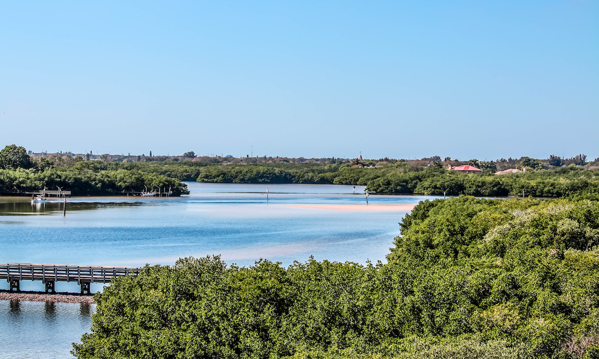 paddle boarding tampa florida weedon island preserve