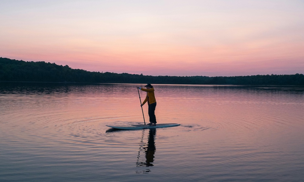 supconnect west coast florida pexels laura stanley