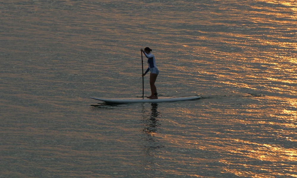 supconnect west coast florida pexels natalia