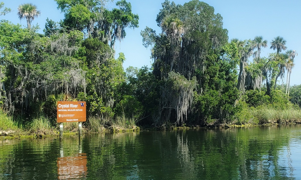 supconnect west coast florida