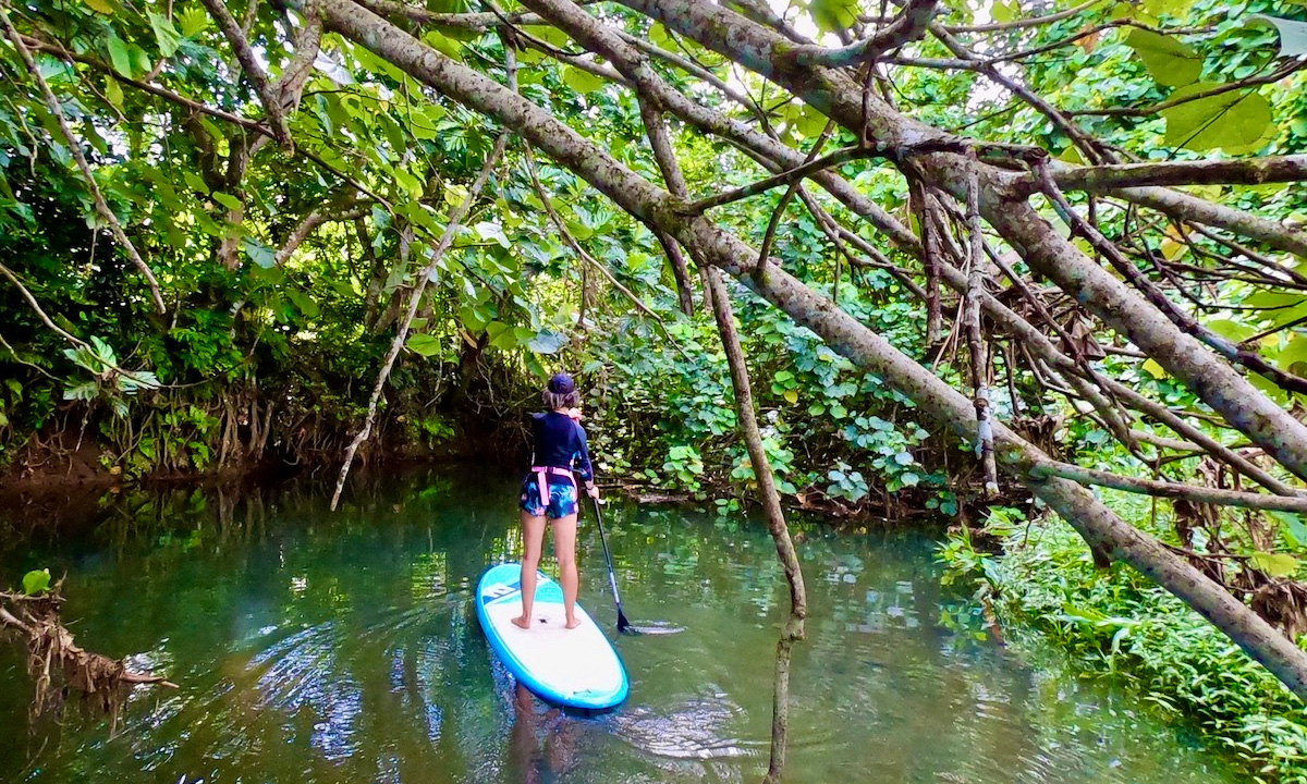 paddle boarding raiatea french polynesia faaroa river