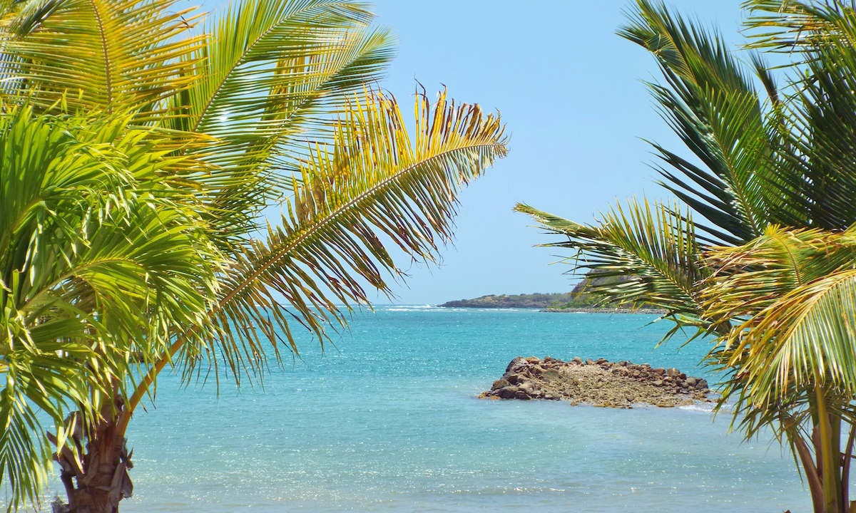 paddle boarding grenada